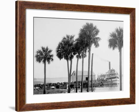 Beresford on the St. Johns, Fla.-null-Framed Photo