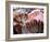 Bergen's Fish Market, Norway-Russell Young-Framed Photographic Print