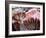 Bergen's Fish Market, Norway-Russell Young-Framed Photographic Print