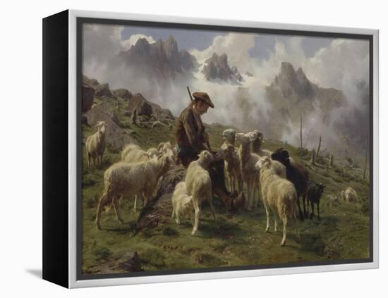 Berger des Pyrénées donnant du sel à ses moutons-Rosa Bonheur-Framed Premier Image Canvas