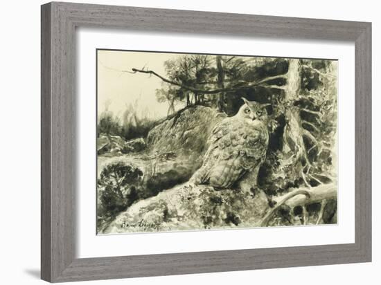 Berguv (Eagle Owl) Bubo Bubo, 1894-Bruno Andreas Liljefors-Framed Giclee Print