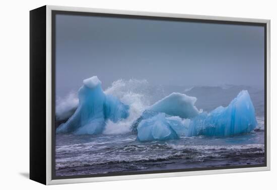 Bergy bits, Iceland-Art Wolfe-Framed Premier Image Canvas