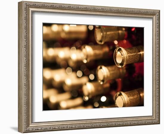 Beringer Vineyard, St.Helena, Napa Valley, California, USA-Walter Bibikow-Framed Photographic Print