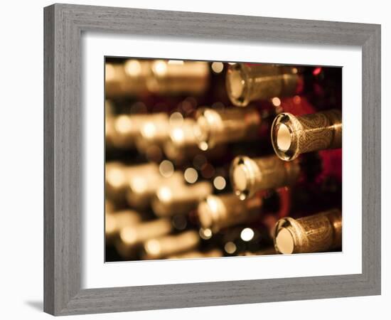 Beringer Vineyard, St.Helena, Napa Valley, California, USA-Walter Bibikow-Framed Photographic Print