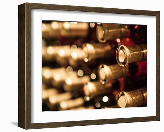 Beringer Vineyard, St.Helena, Napa Valley, California, USA-Walter Bibikow-Framed Photographic Print