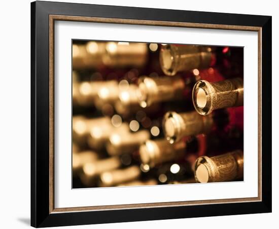 Beringer Vineyard, St.Helena, Napa Valley, California, USA-Walter Bibikow-Framed Photographic Print