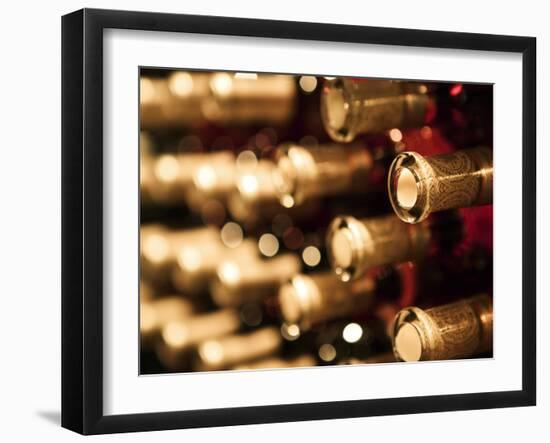 Beringer Vineyard, St.Helena, Napa Valley, California, USA-Walter Bibikow-Framed Photographic Print