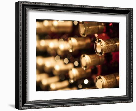 Beringer Vineyard, St.Helena, Napa Valley, California, USA-Walter Bibikow-Framed Photographic Print