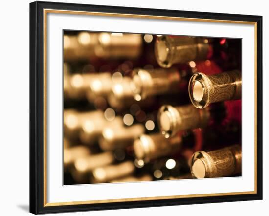 Beringer Vineyard, St.Helena, Napa Valley, California, USA-Walter Bibikow-Framed Photographic Print