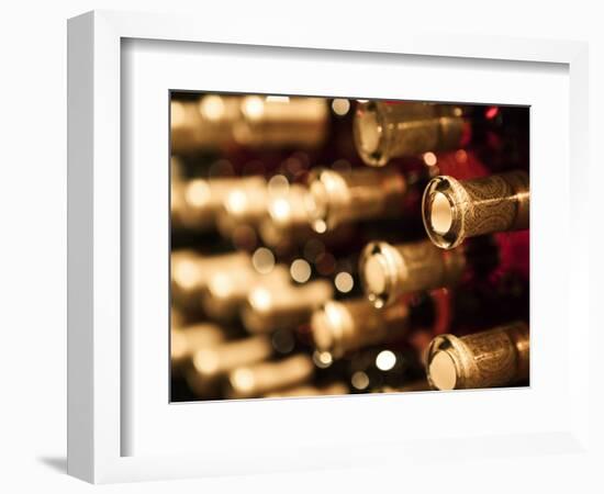 Beringer Vineyard, St.Helena, Napa Valley, California, USA-Walter Bibikow-Framed Photographic Print