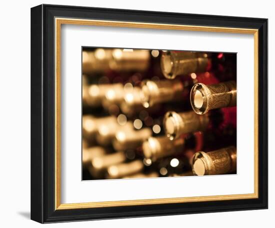 Beringer Vineyard, St.Helena, Napa Valley, California, USA-Walter Bibikow-Framed Photographic Print