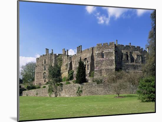 Berkeley Castle, Built in 1153, Gloucestershire, England, United Kingdom-Adam Woolfitt-Mounted Photographic Print