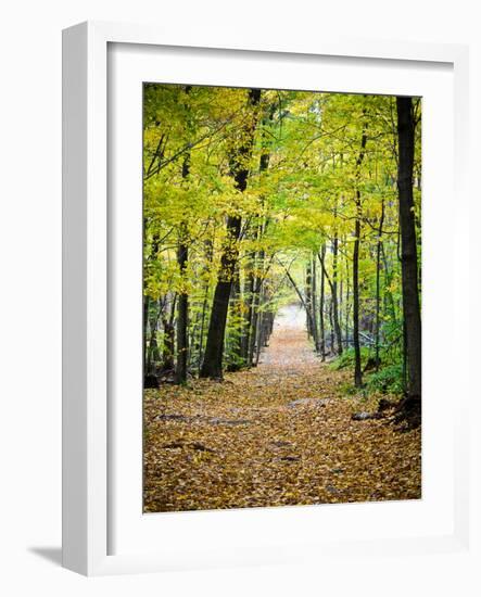 Berkshires Near Appalachian Trail Photo Art Print Poster-null-Framed Art Print