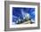 Berlin, Germany. Close-up of the Quadriga atop the Brandenburg Gate-Miva Stock-Framed Photographic Print