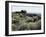 Berlin Ghost Town, Nevada, USA-null-Framed Photographic Print