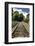 Berlin-Grunewald, Germany. Train Platform 17, Holocaust Memorial where 50,000 Jews were deported to-Miva Stock-Framed Photographic Print