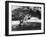 Bermuda Foliage, Bermuda 94-Monte Nagler-Framed Photographic Print