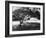 Bermuda Foliage, Bermuda 94-Monte Nagler-Framed Photographic Print
