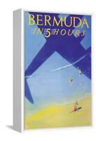 Bermuda in 5 Hours-Paul George Lawler-Framed Stretched Canvas
