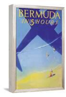 Bermuda in 5 Hours-Paul George Lawler-Framed Stretched Canvas