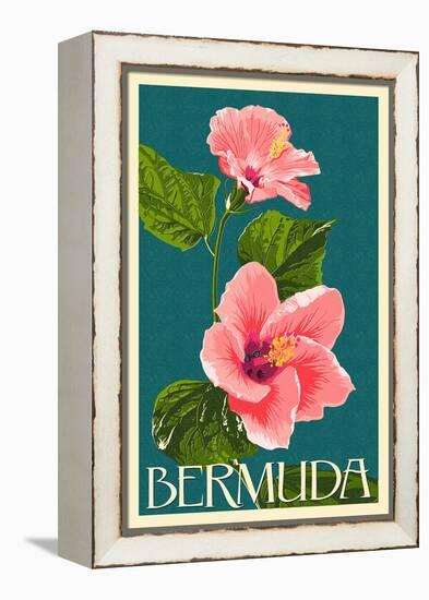 Bermuda - Pink Hibiscus-Lantern Press-Framed Stretched Canvas