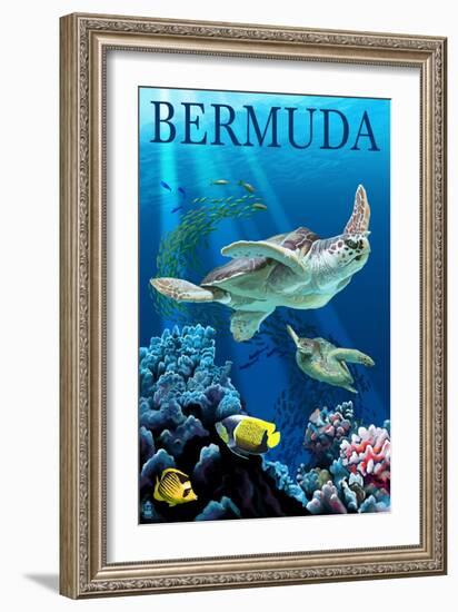 Bermuda - Sea Turtles-Lantern Press-Framed Art Print