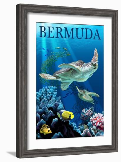 Bermuda - Sea Turtles-Lantern Press-Framed Art Print