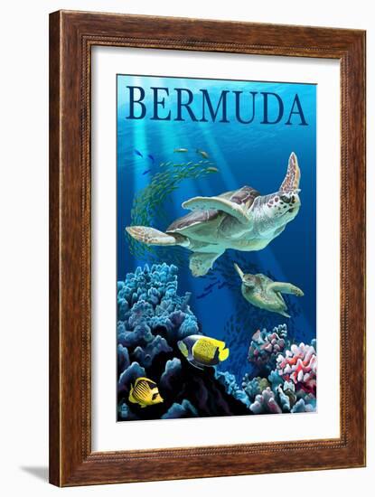 Bermuda - Sea Turtles-Lantern Press-Framed Art Print