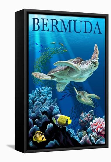 Bermuda - Sea Turtles-Lantern Press-Framed Stretched Canvas