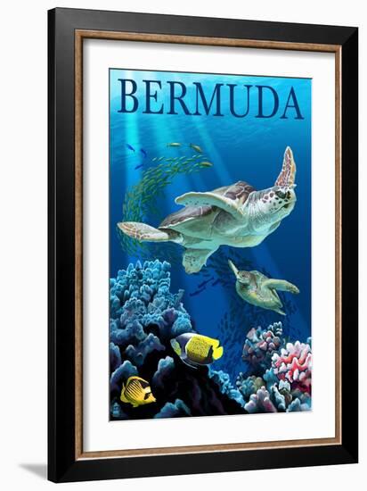 Bermuda - Sea Turtles-Lantern Press-Framed Art Print