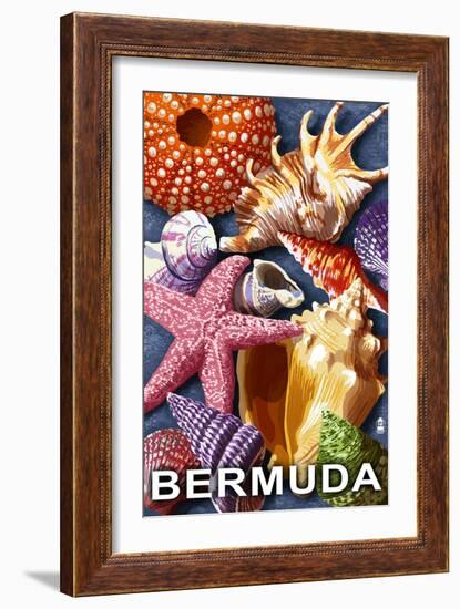 Bermuda - Shells-Lantern Press-Framed Art Print