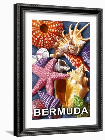 Bermuda - Shells-Lantern Press-Framed Art Print