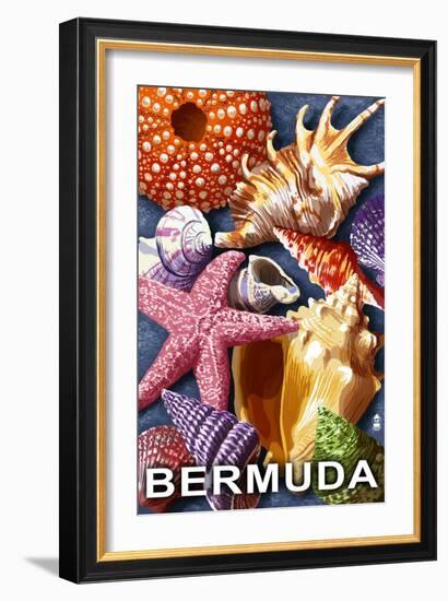 Bermuda - Shells-Lantern Press-Framed Art Print