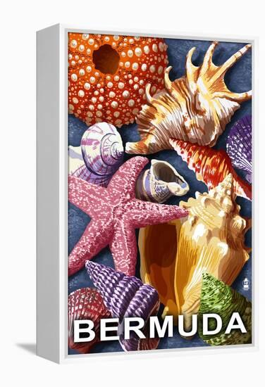 Bermuda - Shells-Lantern Press-Framed Stretched Canvas