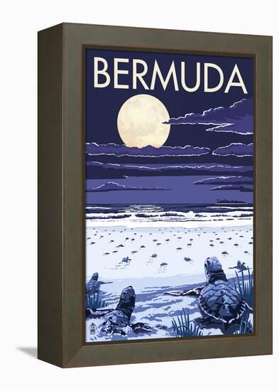 Bermuda - Turtles Hatching-Lantern Press-Framed Stretched Canvas