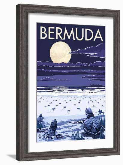 Bermuda - Turtles Hatching-Lantern Press-Framed Art Print