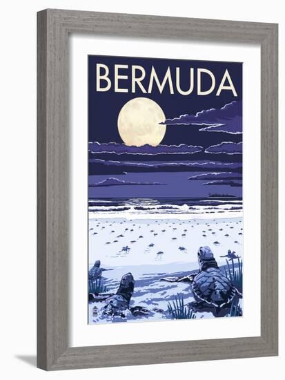 Bermuda - Turtles Hatching-Lantern Press-Framed Art Print