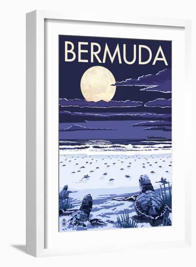 Bermuda - Turtles Hatching-Lantern Press-Framed Art Print