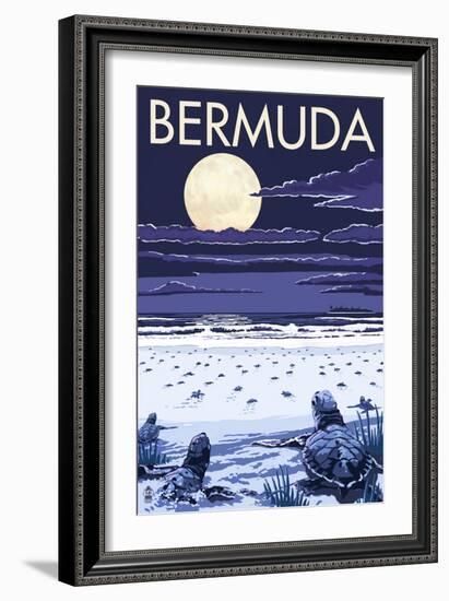 Bermuda - Turtles Hatching-Lantern Press-Framed Art Print