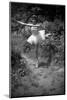 Bernadette Lafont, as a child, dancer, c. 1949, Nimes (b/w photo)-null-Mounted Photo