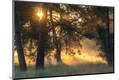 Photographic Print