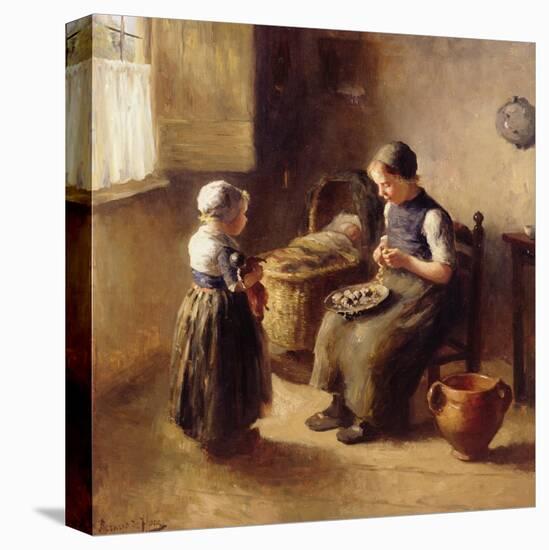 Stretched Canvas Print, , large