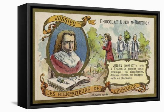 Bernard De Jussieu, French Naturalist-null-Framed Premier Image Canvas