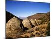 Photographic Print