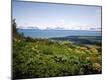 Premium Photographic Print