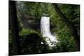 Photographic Print