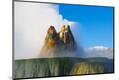 Photographic Print