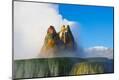 Photographic Print