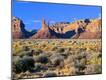 Photographic Print