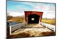 Photographic Print